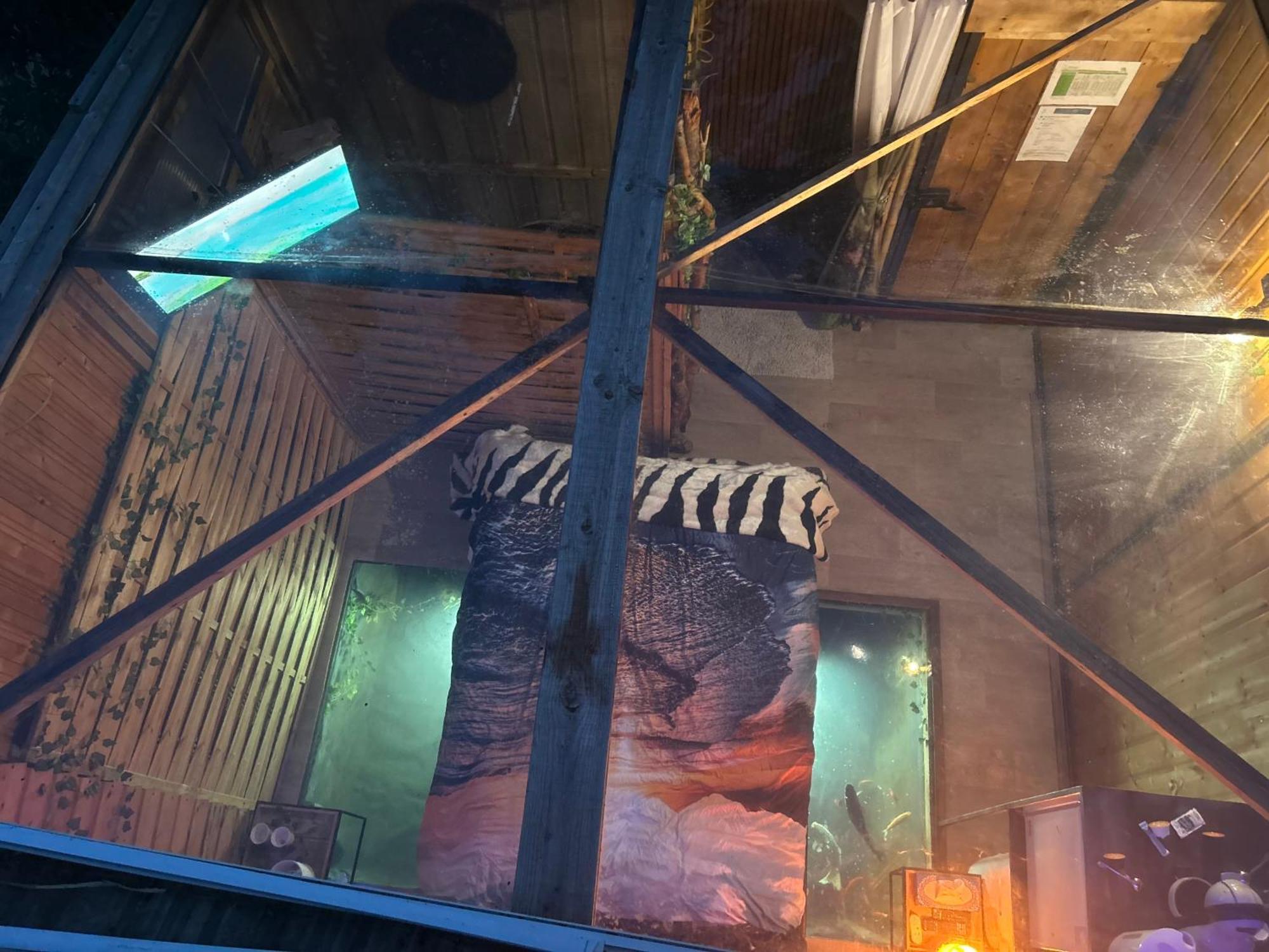 L'aquarium