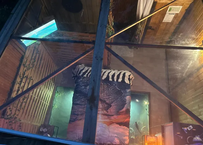 L\'Aquarium