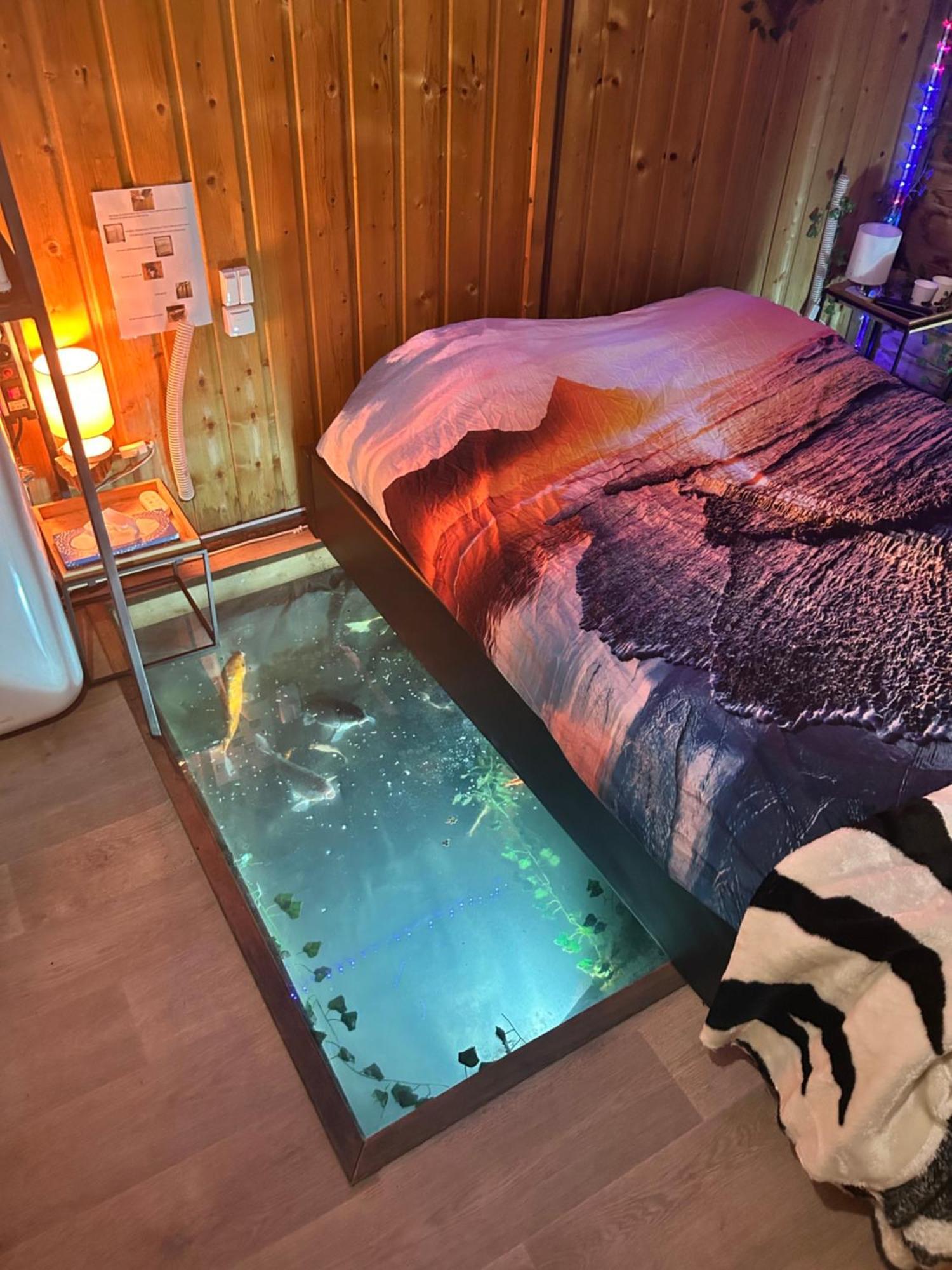 L'aquarium Brignoles